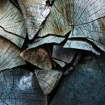 Hvilket materiale er den bedste til brændeskure?